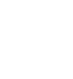 The Basin